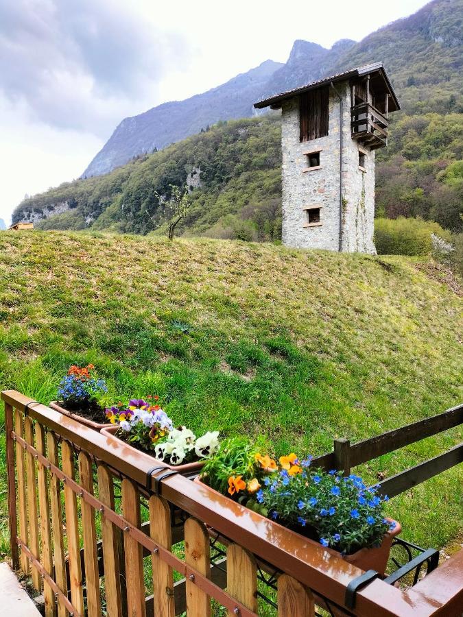 Rustica Sul Primo Piano Apartment