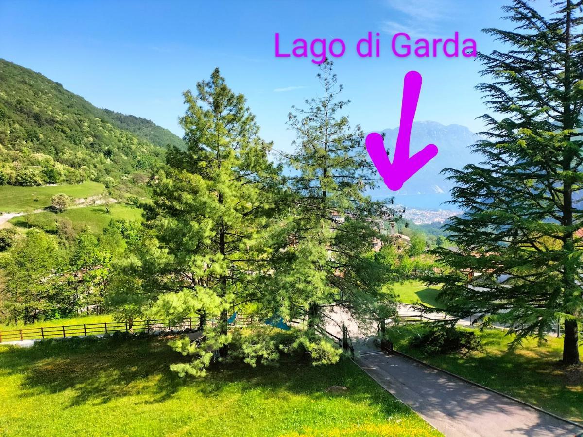 Rustica Sul Primo Piano *